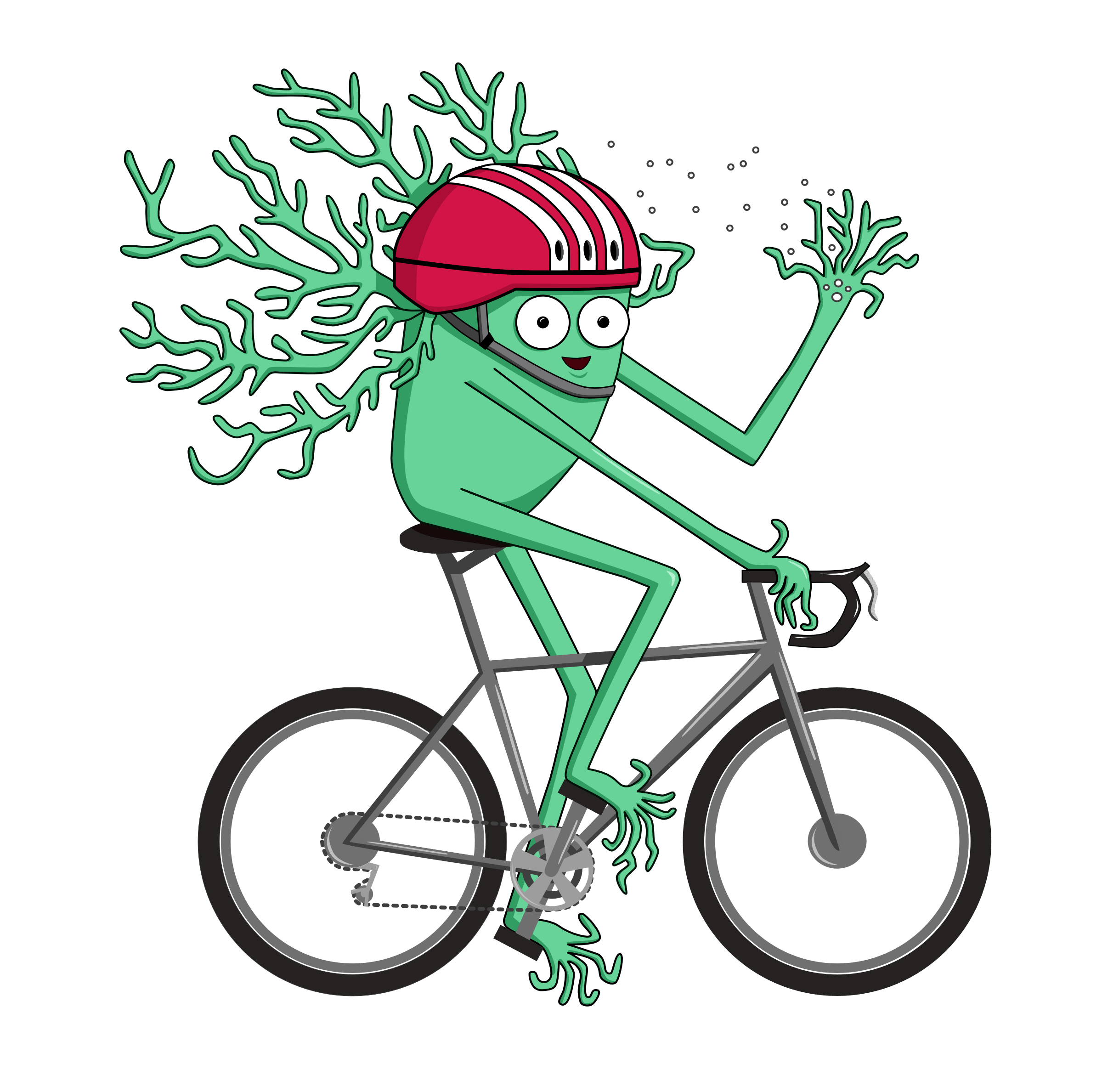 The Brain Colouring Book